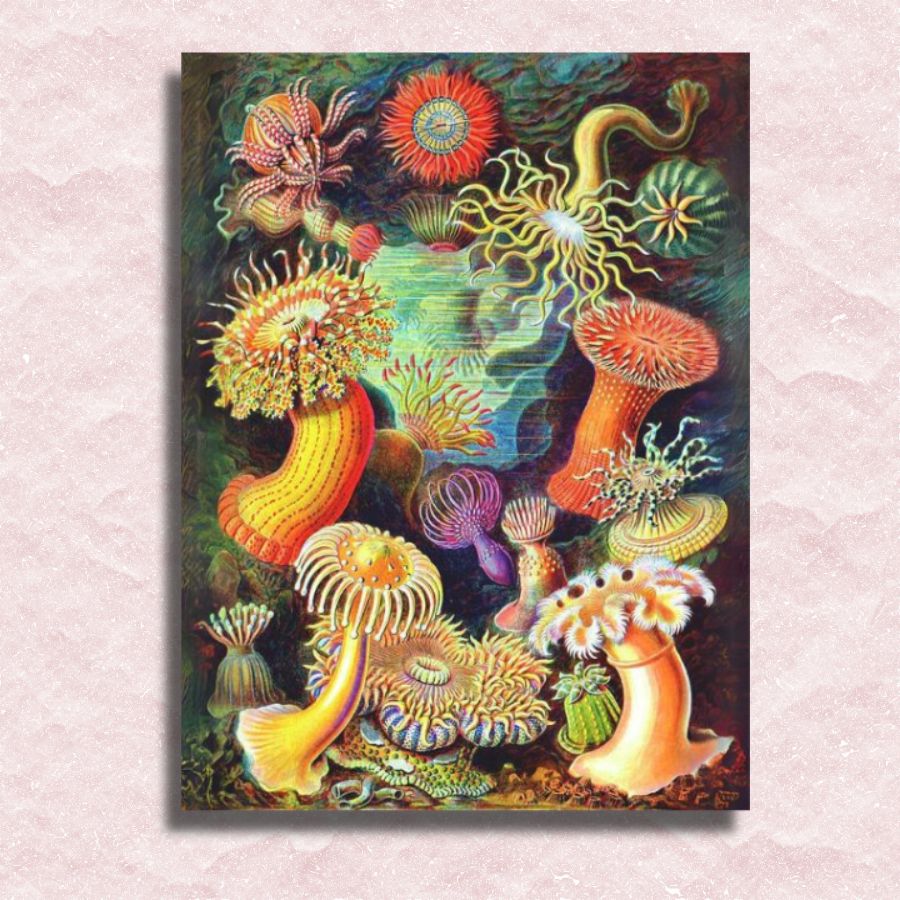 Ernst Haeckel - Actiniae Canvas - Paint by numbers