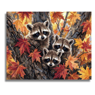 Forest Raccoon Family - Paint by numbers