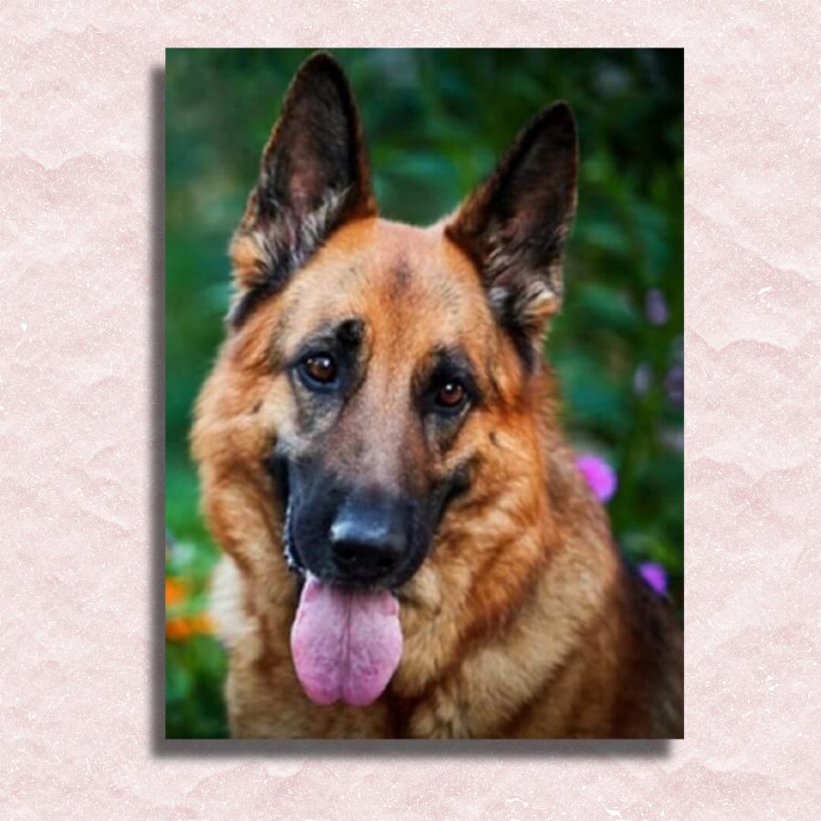 German Shepherd Canvas - Paint by numbers