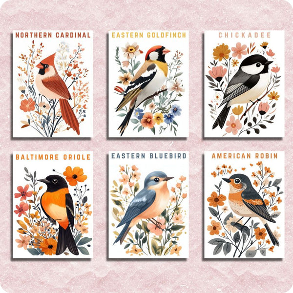 Numbers Birds Roses Mini American Birds 6 Pack Paint by Numbers – Painting By Numbers Shop