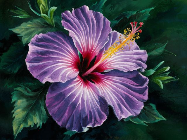 Purple Hibiscus Limited discount Edition Giclee