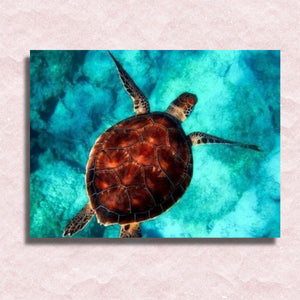 Meeresschildkröten-Leinwand – Malen-nach-Zahlen-Shop