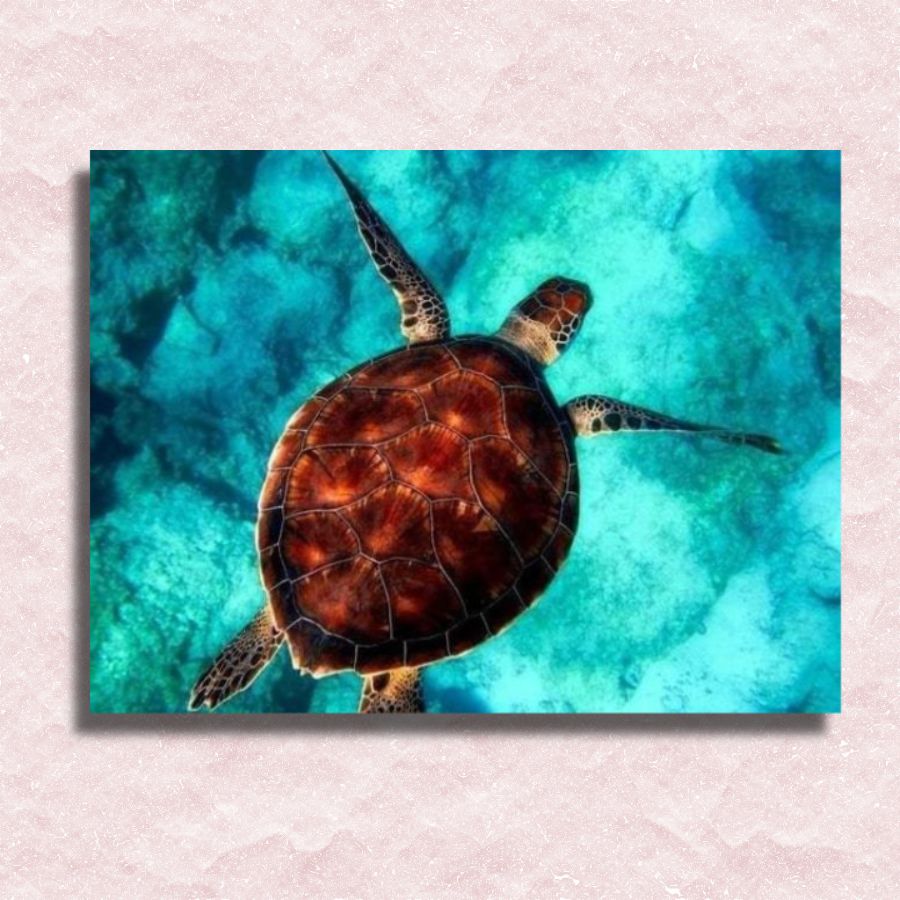 Sea Turtle Canvas - Painting by numbers shop