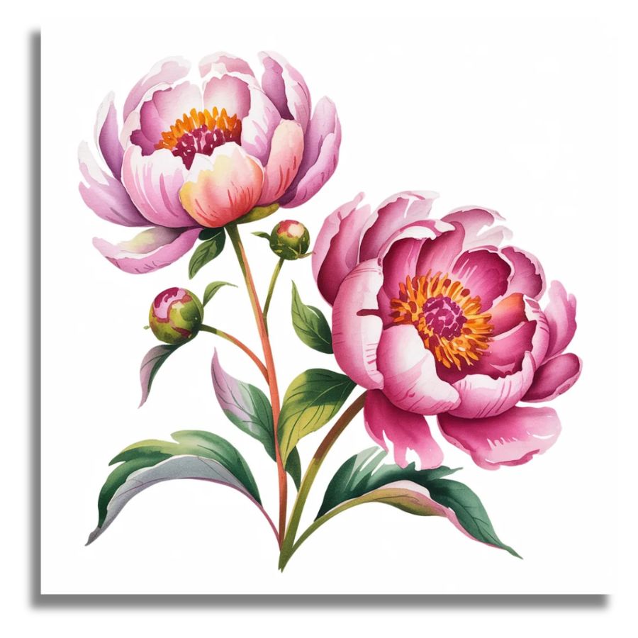 Two pink flowers with green leaves on a white background. Soft Pink Peonies - Paint by Numbers