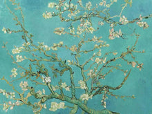 Laad afbeelding in Galerijviewer, Van Gogh - Amandelbloesem Schilderen op nummer