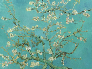 Van Gogh - Mandelblüte Malen nach Zahlen