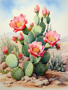 Blühender Opuntia-Kaktus - Malen nach Zahlen