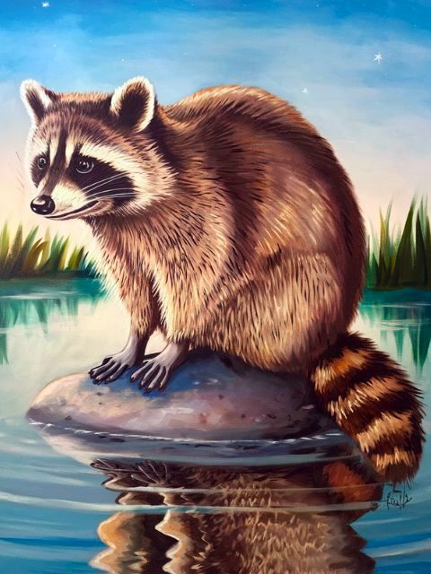 Cute Raccoon - Paint by numbers