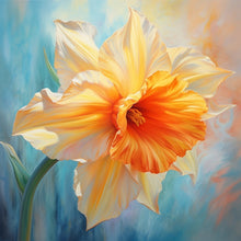 Laad de afbeelding in de Gallery-viewer, Limited Collection Bundle Paint by Numbers