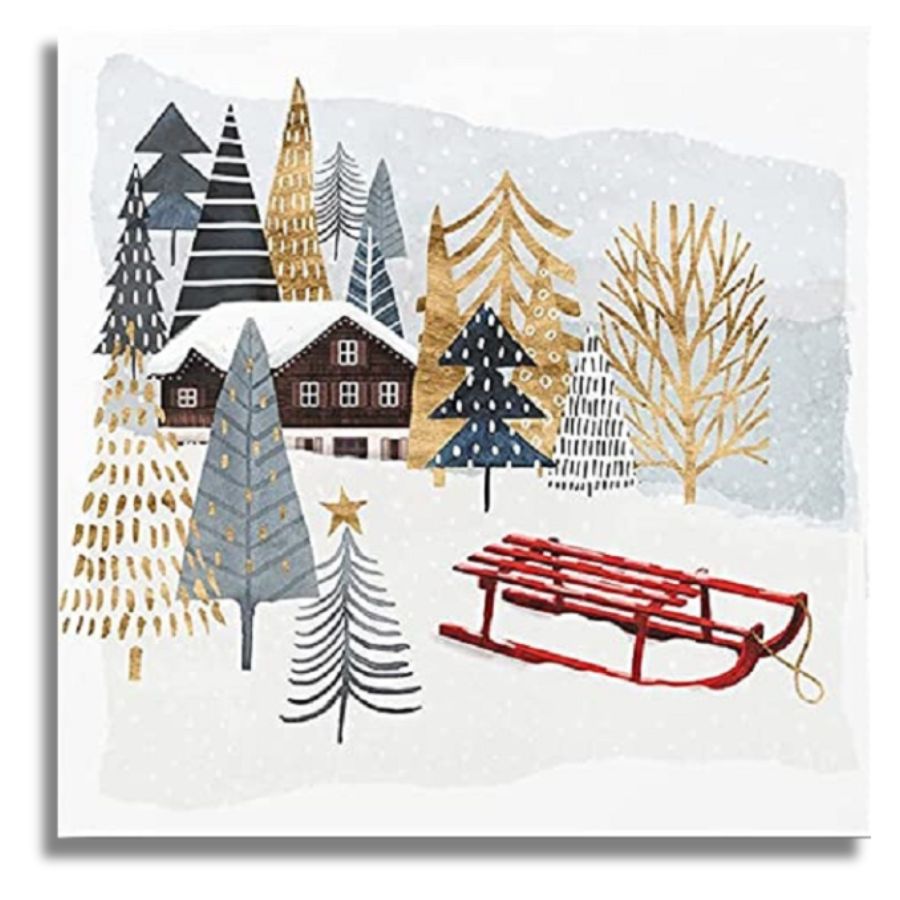 Easy Painting Winter Country Canvas - Paint by numbers