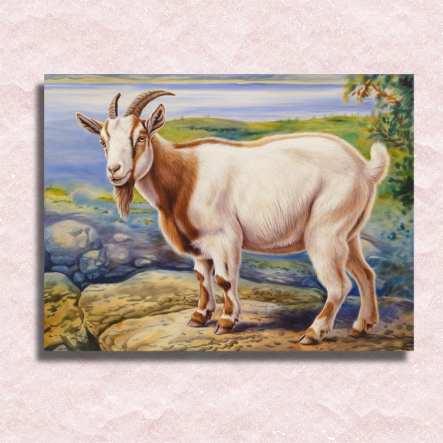 Goat Canvas - Paint by numbers