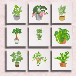 Mini Houseplants 9 Pack Paint by Numbers