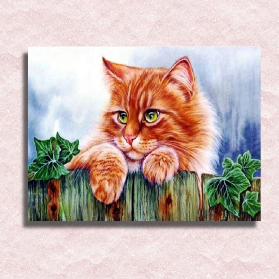 Kitty on the Fence Canvas - Painting by numbers shop