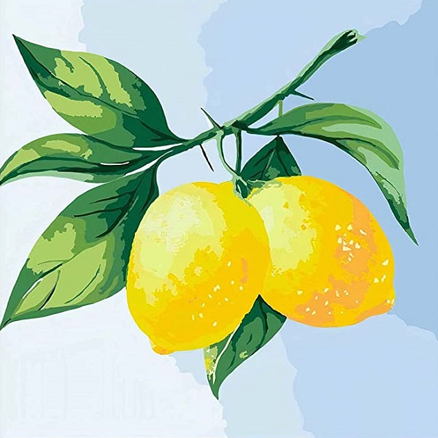 mini-lemons paint by numbers