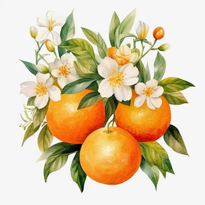 Mini-Orangen Malen nach Zahlen