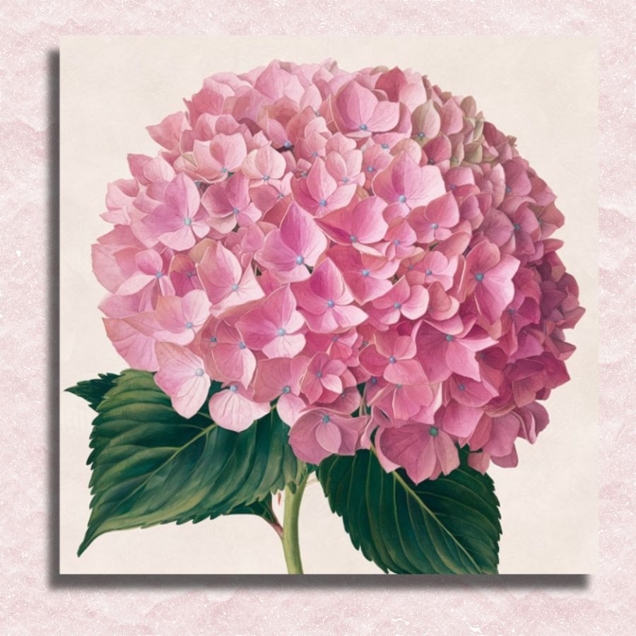 Mini Pink Hydrangea Canvas - Paint by numbers