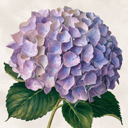 Mini Violet Hydrangea - Paint by numbers