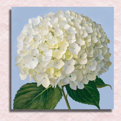 Mini White Hydrangea Canvas - Paint by numbers