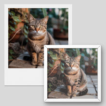 Laad de afbeelding in de galerijviewer, verf voor huisdieren op nummer - mockup voor katten
