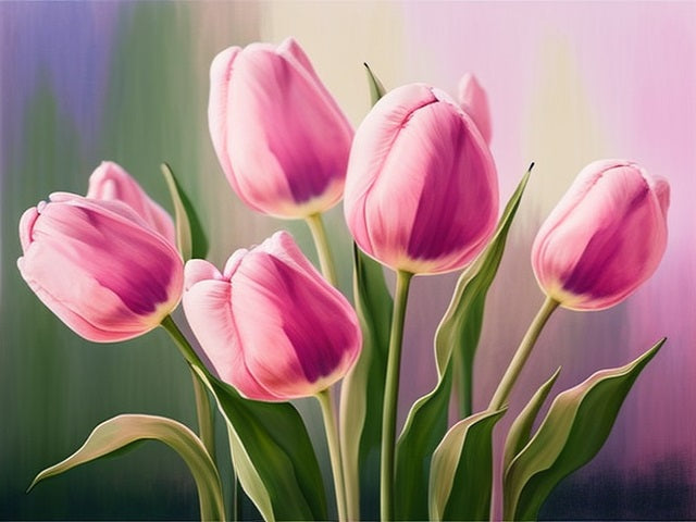 Pink Tulips - Painting by numbers shop