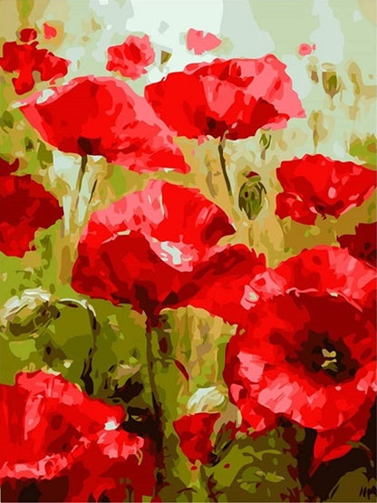 Poppy Flowers - Painting by numbers shop