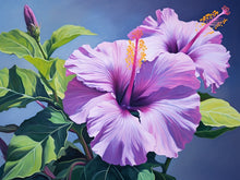 Laden Sie das Bild in den Galerie-Viewer, Purple Hibiscus - Malen-nach-Zahlen-Shop