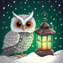 Laden Sie das Bild in den Gallery Viewer, Snowy Owl - Malen-nach-Zahlen-Shop