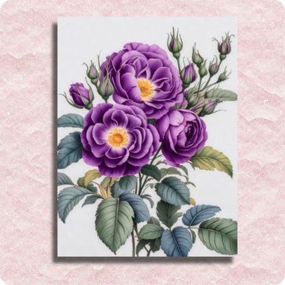 Violet Roses Canvas - Paint by numbers