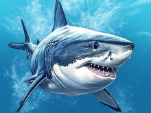 Laad de afbeelding in de Gallery-viewer, White Shark - Paint by numbers