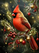 Load image into Gallery viewer, Winter Cardinal Perch - Paint by numbers
