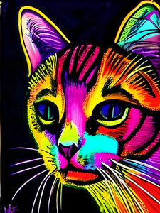 Abstract Cat - Painting by numbers shop