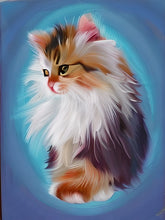 Laden Sie das Bild in den Galerie-Viewer, Fluffy Cat Paint by Numbers