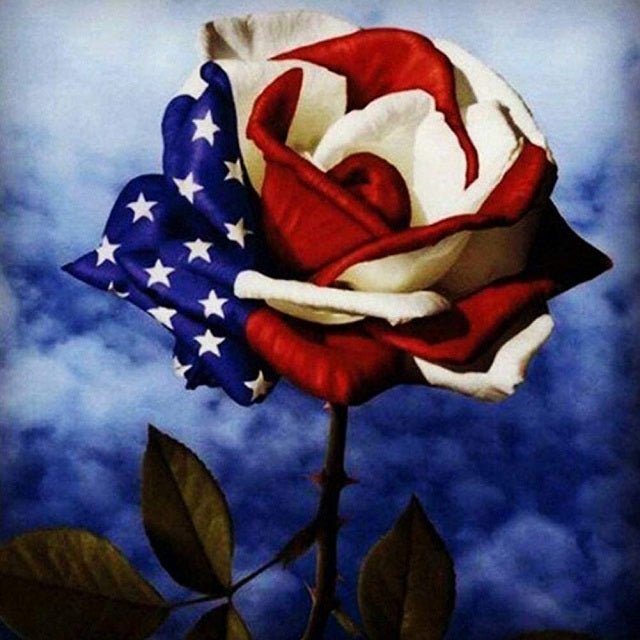 American Rose - Painting by numbers shop