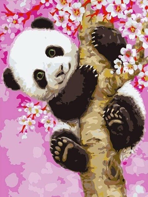 Baby Panda - Painting by numbers shop