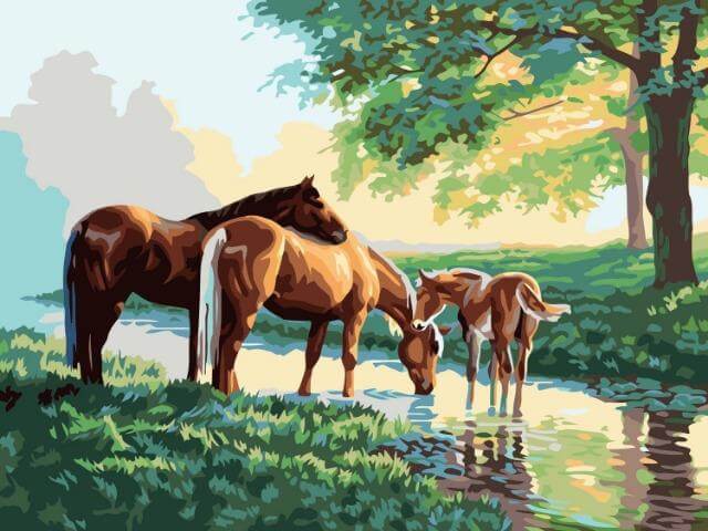 Beautiful Horses - Painting by numbers shop