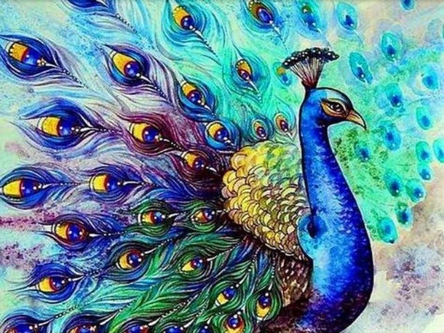 Beautiful Peacock - Painting by numbers shop