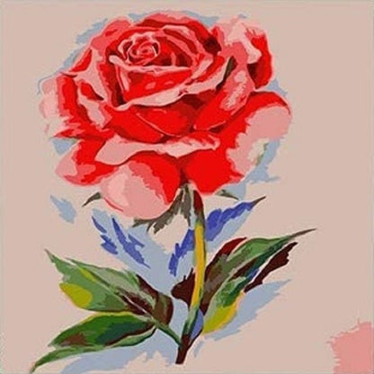 Schöne rote Rose - Malen-nach-Zahlen-Shop