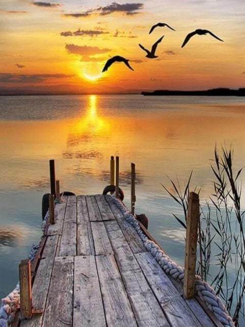 Beautiful Sunset - Painting by numbers shop