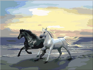 Schwarze und weiße Pferde - Malen-nach-Zahlen-Shop