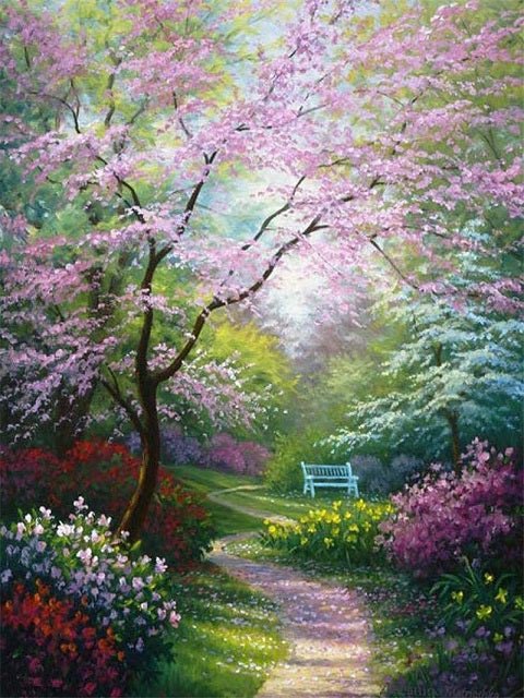 Blossom Park - Painting by numbers shop