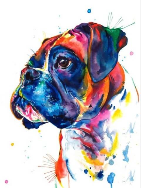 Boxer Dog - Painting by numbers shop
