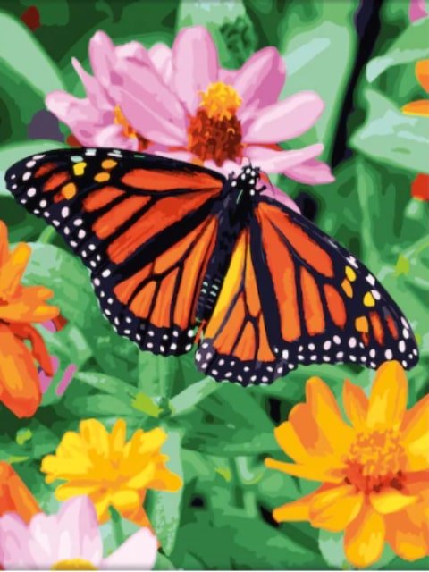 Butterfly on Flower - Painting by numbers shop