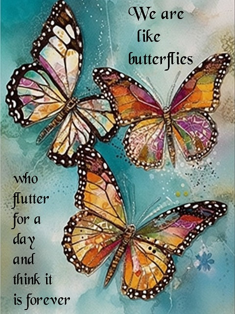 Schmetterlings-Zitat - Malen-nach-Zahlen-Shop