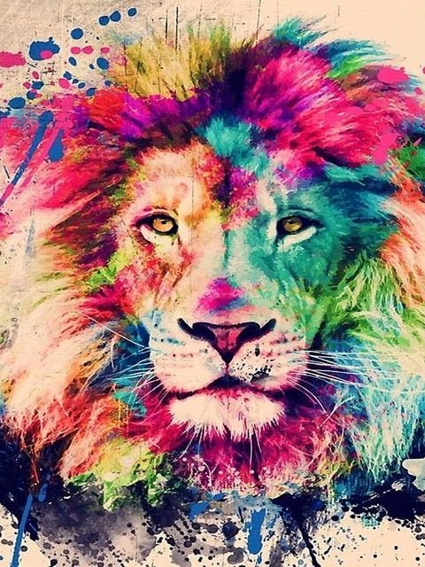 Color Stained Lion - Painting by numbers shop
