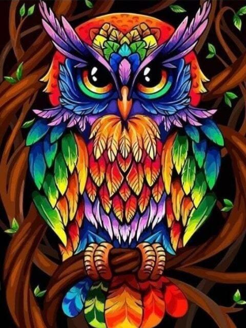 Colorful Owl - Painting by numbers shop