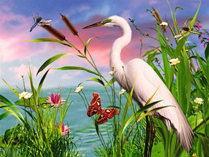 Crane in Pond - Painting by numbers shop