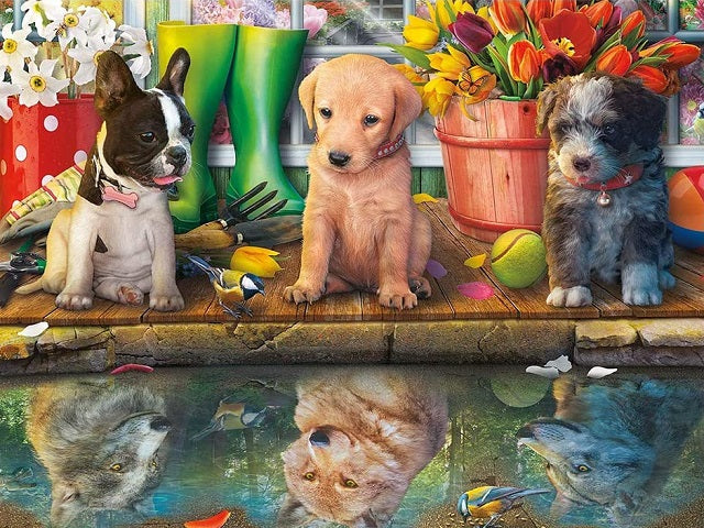 Cute Puppies Look into Puddle - Painting by numbers shop