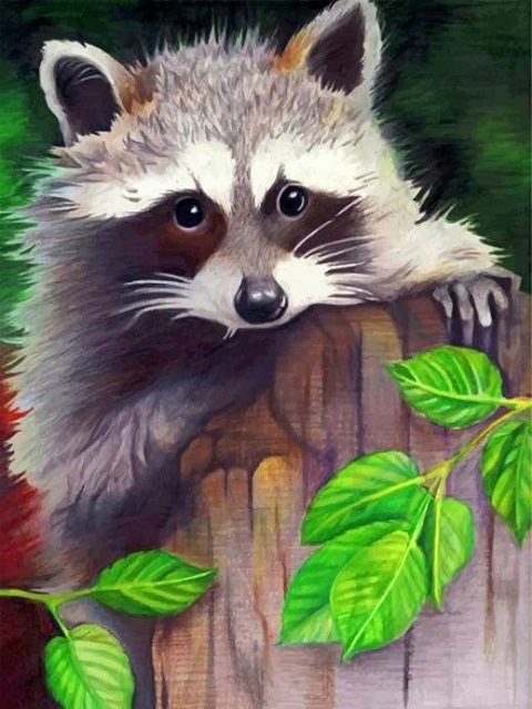 Cute Racoon - Painting by numbers shop