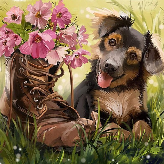 Doggy and the Shoe - Painting by numbers shop