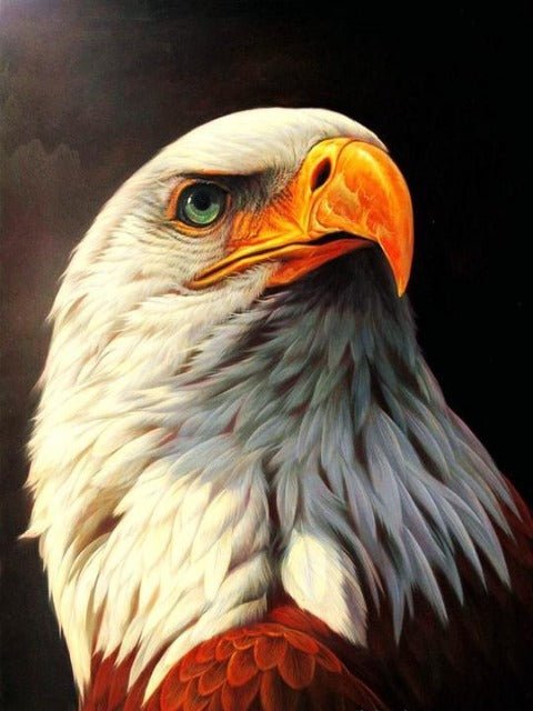 Eagle - Painting by numbers shop